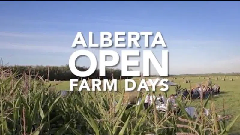 Alberta Open Farm Days in August