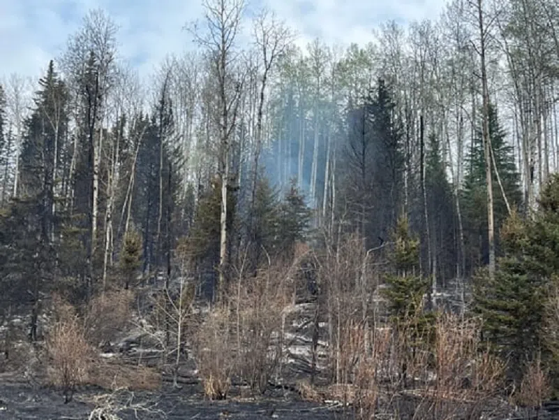 Local updates on wildfires and evacuation orders: May 12