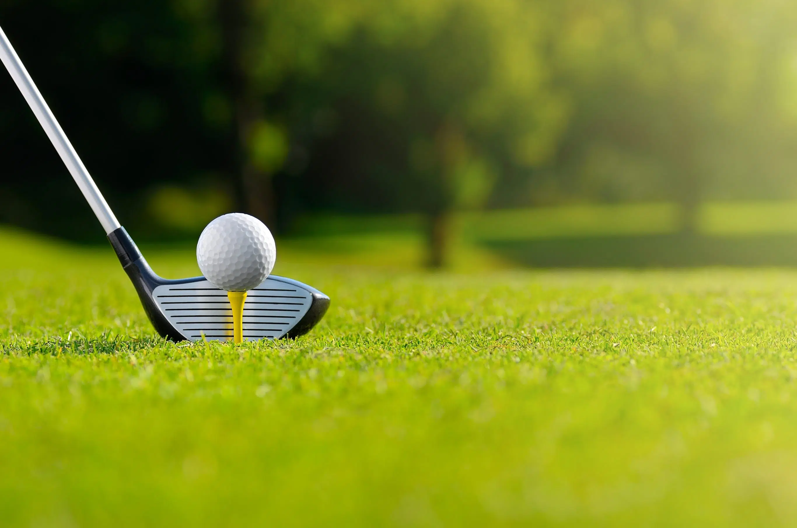 Whitecourt Golf and Country Club releases tournament schedules for remainder of season