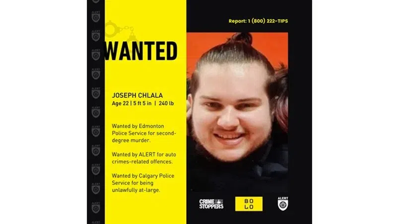 ALERT breaks up auto-theft and re-vinning operation in Parkland County