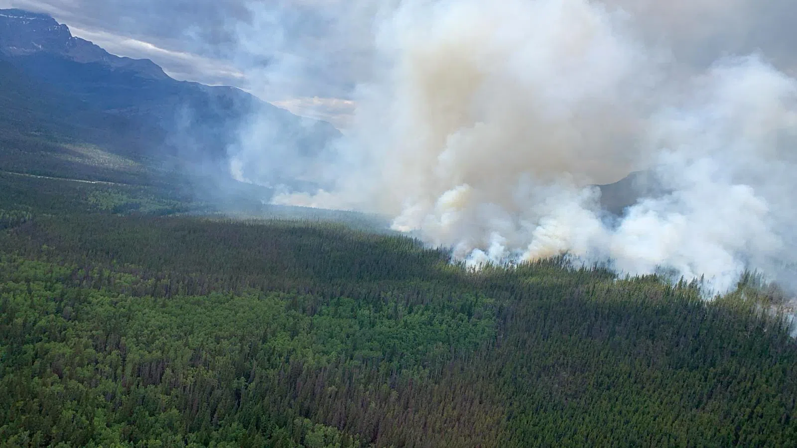 Jasper Complex Wildfire Update - August 1