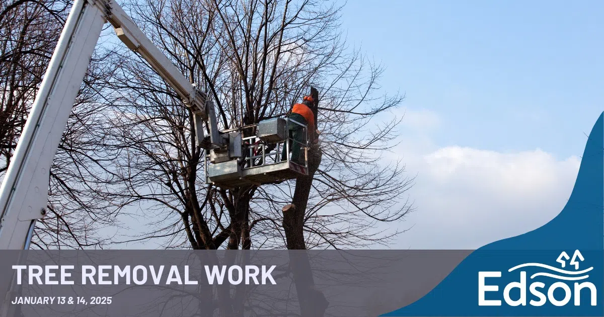 Tree removal work scheduled for Town of Edson