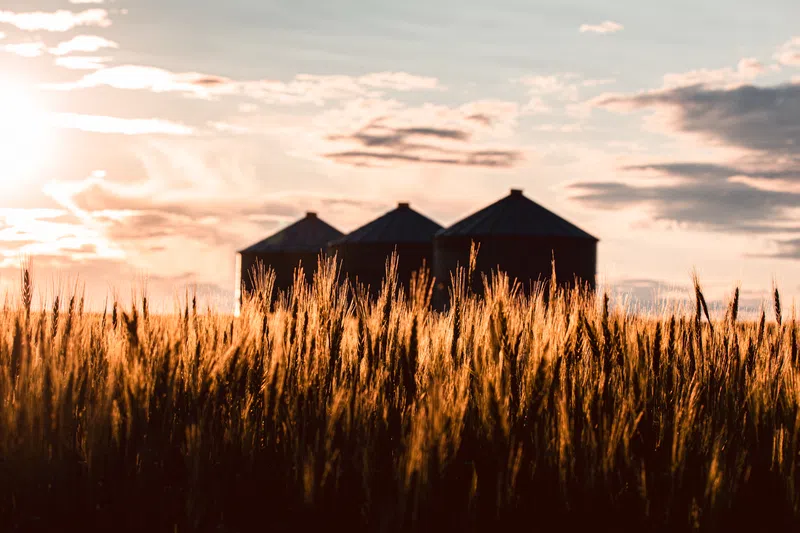 Barrhead County Tour to showcase agricultural community