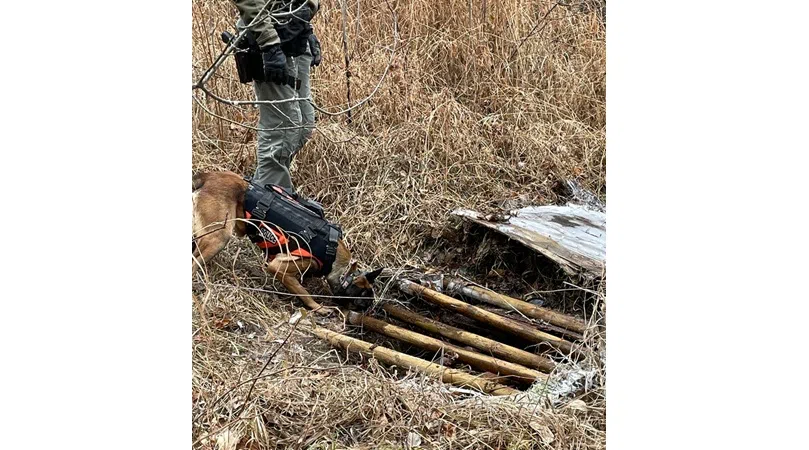 Barrhead and area: Edmonton police seek information about missing senior believed to be murdered