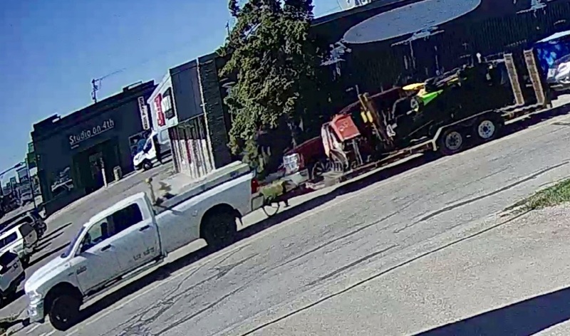Edson RCMP seek public assistance in identifying vehicle in hit and run