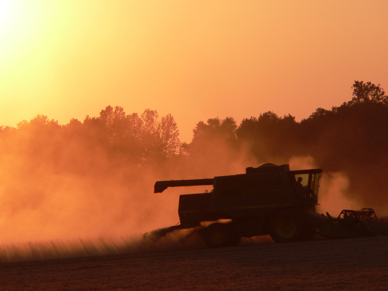 Alberta Crop Report: Oct. 20, 2026