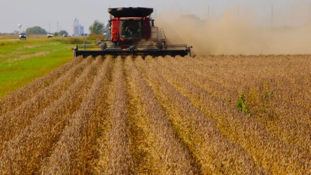 Dan Osborn calls out U.S. government's Argentina bailout that hurts Nebraska soybean farmers