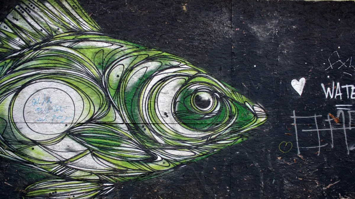 Deadline Extended Activities Added In Fish Art Contest 1340 KGFW   LT0Fs7bUP I 1200x675 