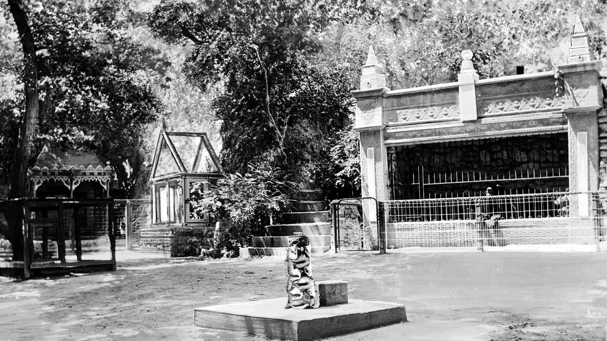 UNK research team uncovers the curious history of Jenner’s Park Y102