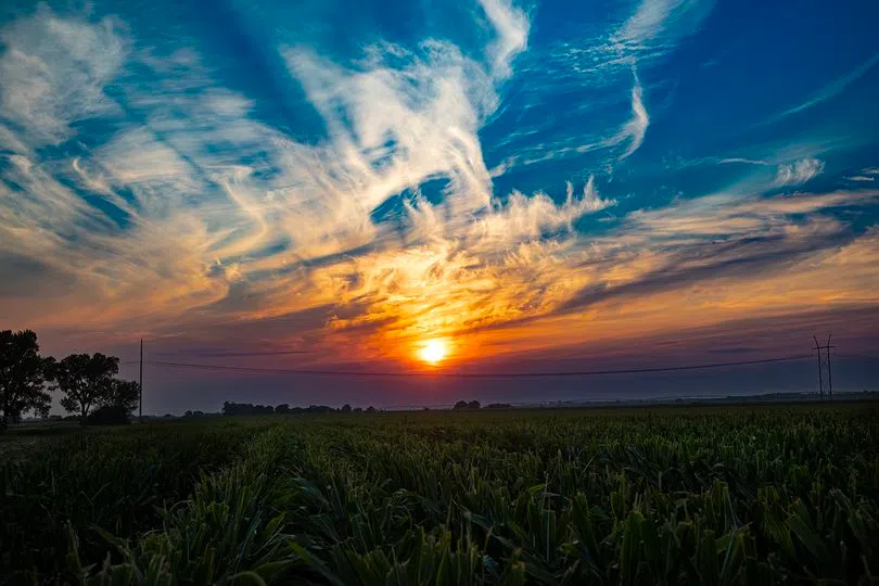 Fire Weather Threat Expands Across the Central Gulf Coast and Southern Plains