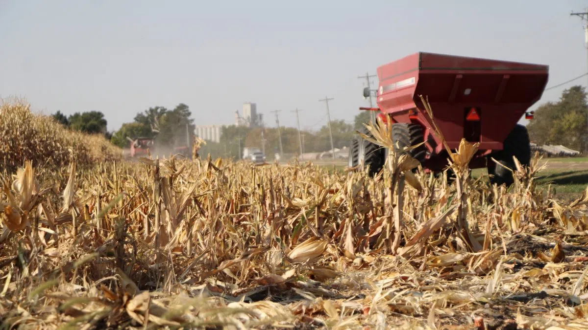 Nebraska PSC comments on grain dealer Hansen-Mueller Co. filing for bankruptcy