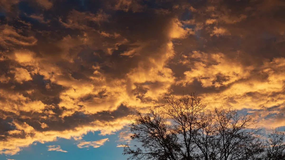 Cooler on Tuesday, with increasing rain chances late in the work week
