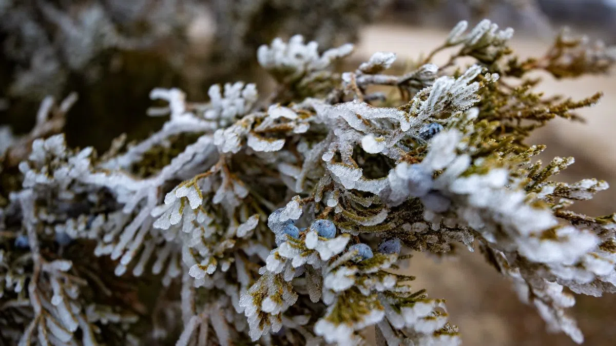 Christmas weather history and extremes in central Nebraska