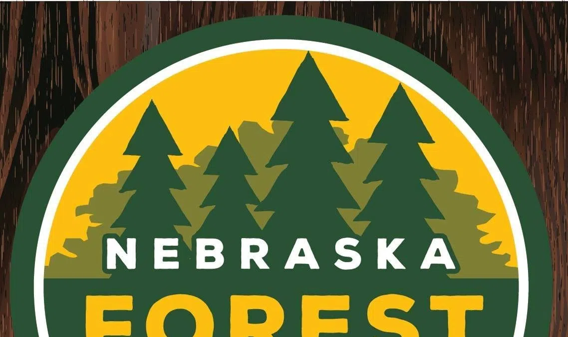 Communities urged to prioritize watering trees amid ongoing drought conditions in Nebraska