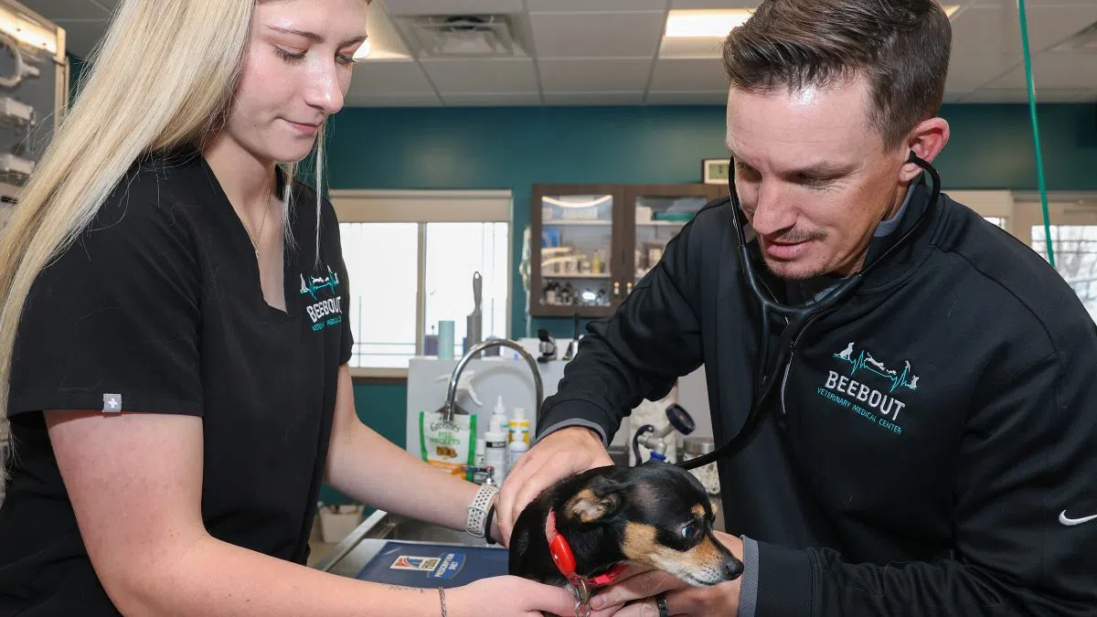 In UNK pre-vet program, students learn to care for animals and their owners