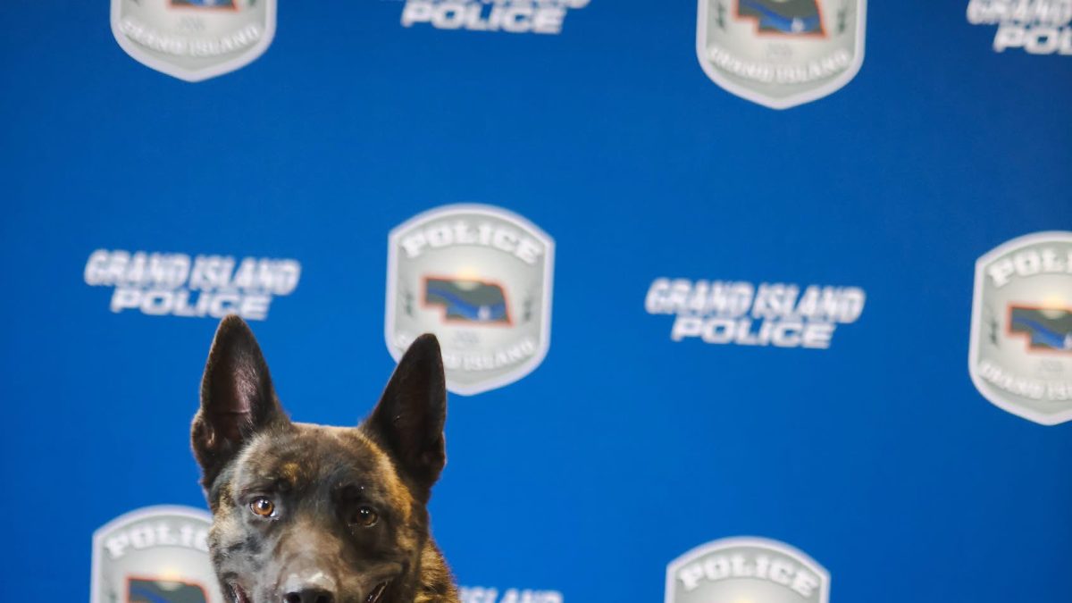 Grand Island Police K9 Cello Dies After Being Struck by Vehicle Off Duty