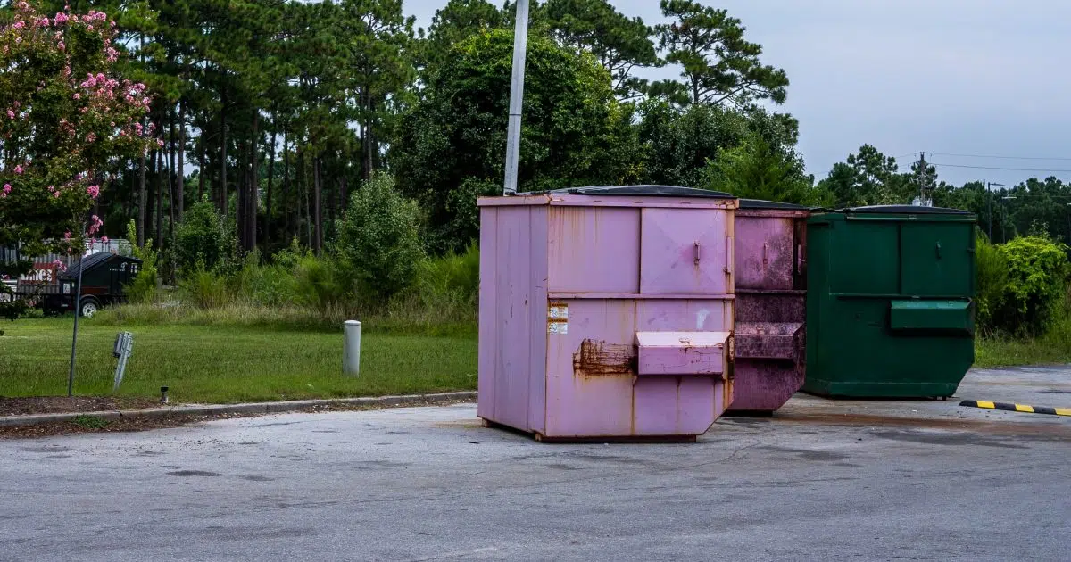 City of Decatur holding citywide cleanup and tree limb pickup