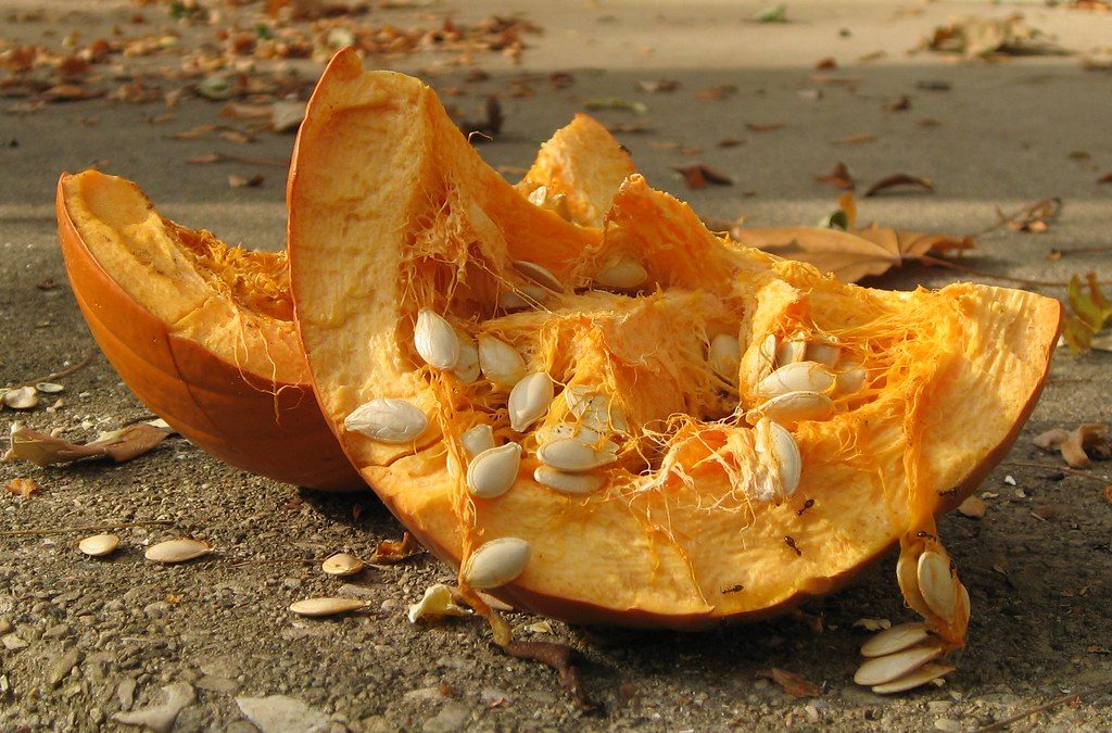 University of Illinois Extension to Host Free Pumpkin Smash in Decatur