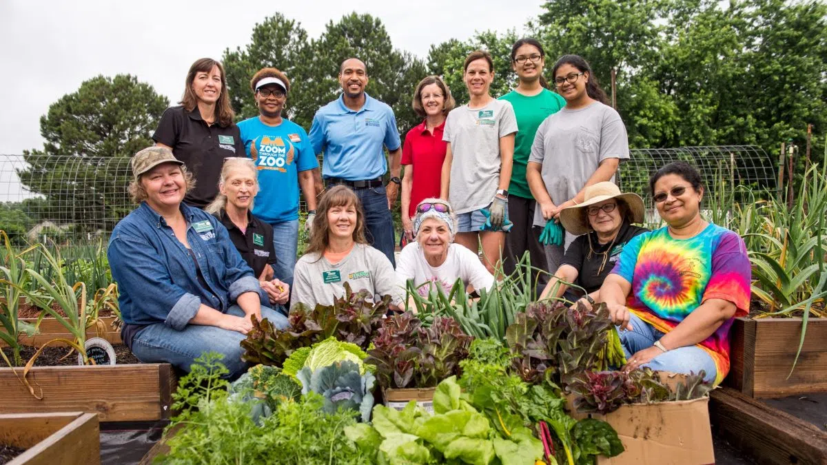 Illinois Extension to Host Gardening Education Event in Decatur