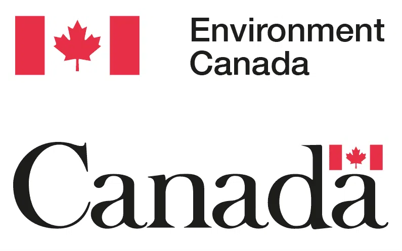 government of canada logo png