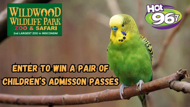 Feature: https://hot967fm.com/2025/05/14/wildwood-wildlife-park-zoo-contest/