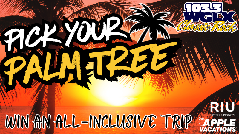Feature: https://wglx.com/2026/09/16/pick-your-palm-tree/#//