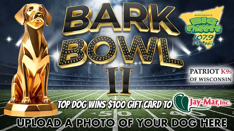 Feature: https://bigcheese1079.com/2025/01/14/bark-bowl-ii/