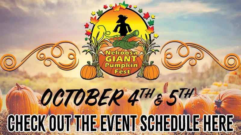 Feature: https://www.nekoosagiantpumpkinfest.com/