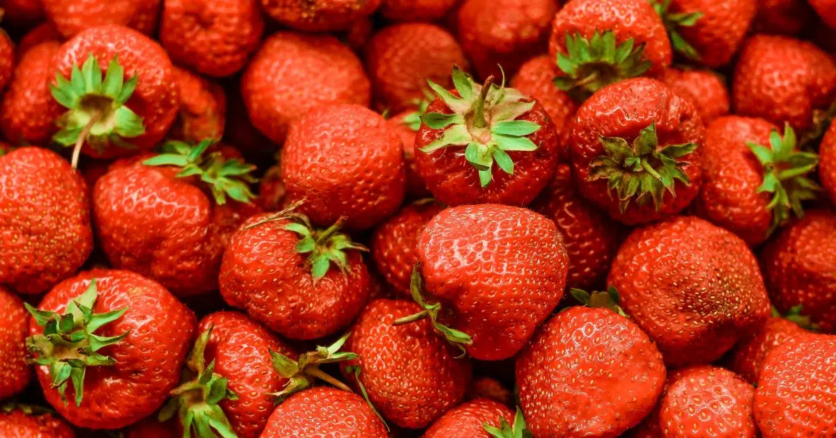 Recall on frozen strawberries and fruits for potential Hepatitis A