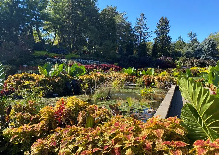 Sunken Gardens “Put The Beds To Bed” Event Set For Saturday | Froggy 98 ...