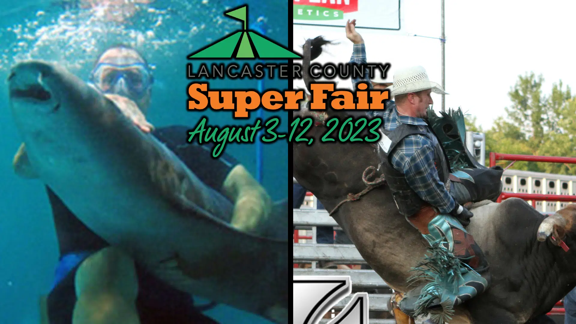 Sharks, Bulls, & Cinnamon Rolls Lancaster Super Fair Begins Thursday