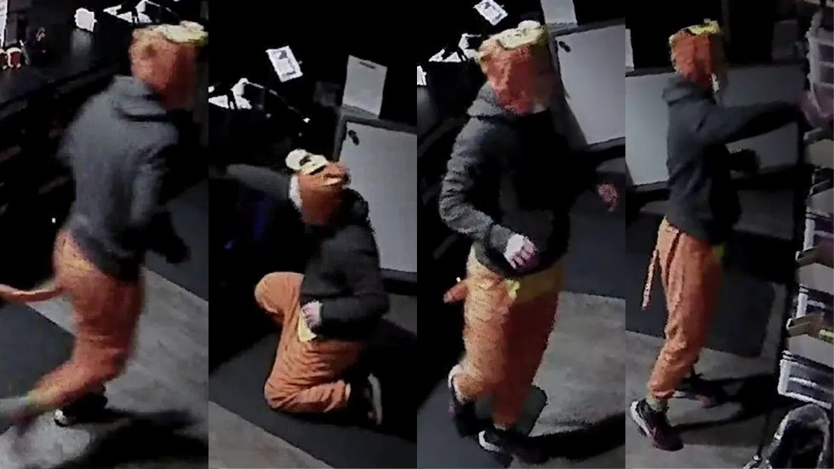 Lincoln Police Searching For “Tigger” Involved In Vape Shop Burglary ...