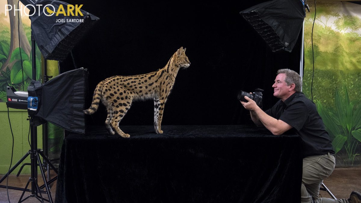 Morrill Hall Debuts 'Photo Ark' Exhibit from Lincoln Photographer Joel Sartore | KLIN - Vimarsana News