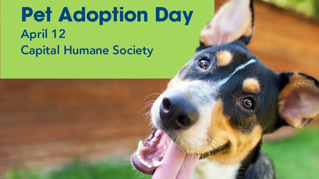 UBT Covering Capital Humane Society Adoption Fees this Friday | B107.3 ...