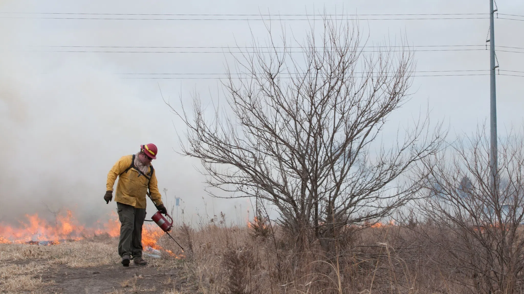 32-Acre Controlled Burn Scheduled for Pioneers Park | Froggy 98 - Today ...