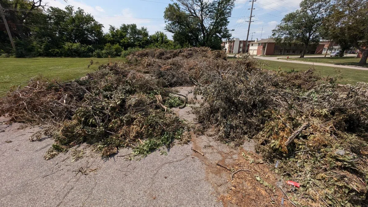 Tree debris collection points in Holmes Lake and Seng Park now closed | KLIN