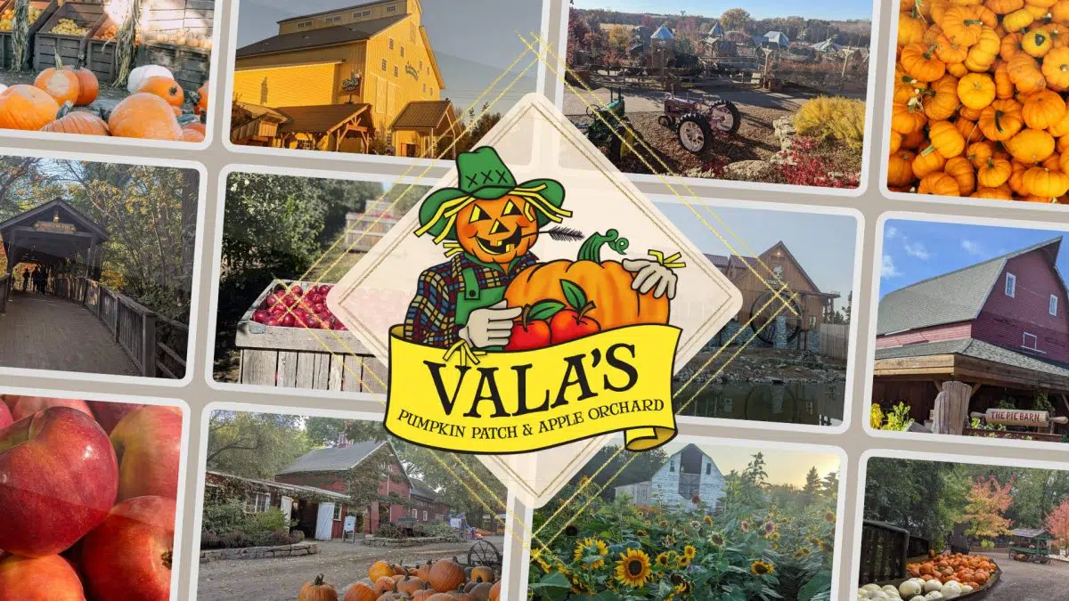 Vala’s Pumpkin Patch Froggy 98 Today's Best Country!