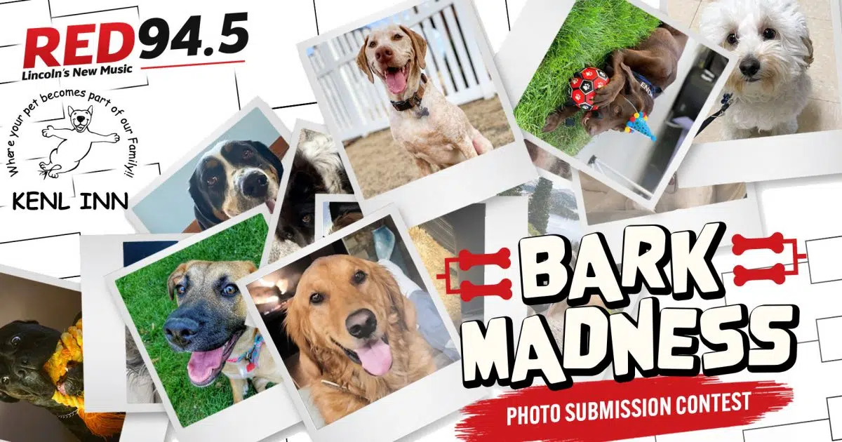 Bark madness red 945 lincoln s new music