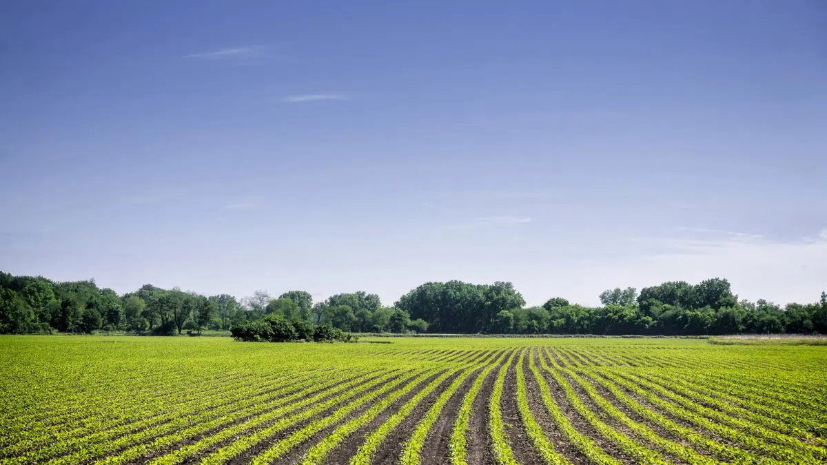 Iowa Politics with Jeff Stein — Tue. Feb. 17, 2026