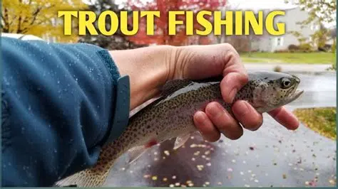 Lot of stock in fall trout season, Sports