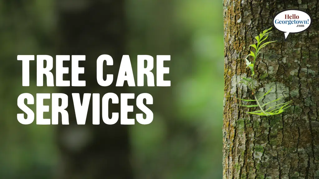 Tree Care Services Georgetown Texas