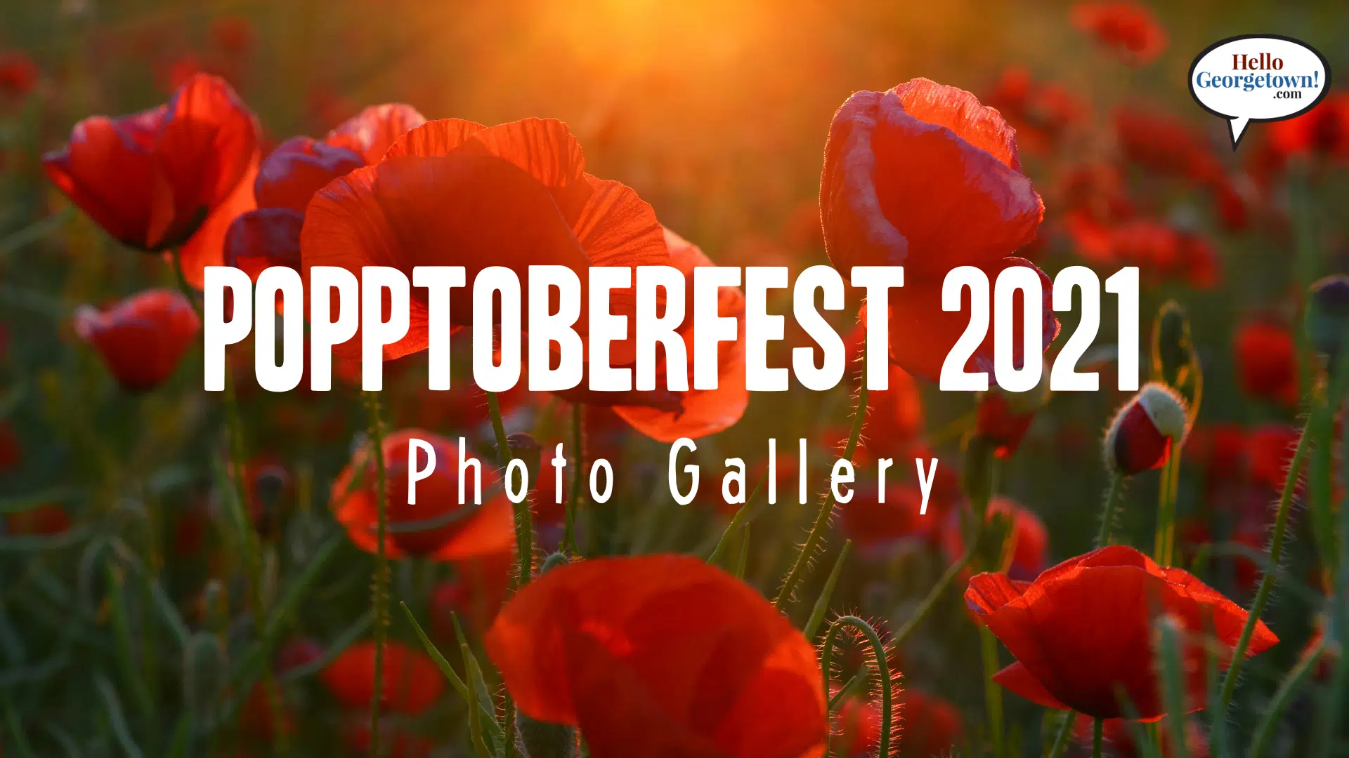 Georgetown's 2021 Red Poppy Festival Returns in October as