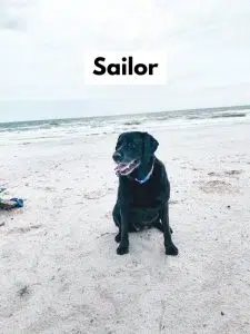 Sailor