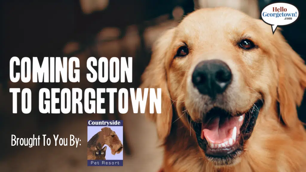 Coming Soon Brought to You By Countryside Pet Resort Georgetown TX