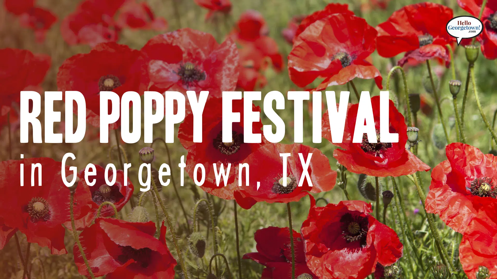 2023 Red Poppy Festival Sponsorship Packet by Visit Georgetown Texas - Issuu
