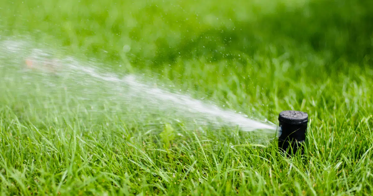 Watering Restricted to One Day Per Week As Of June 28, 2022 Hello