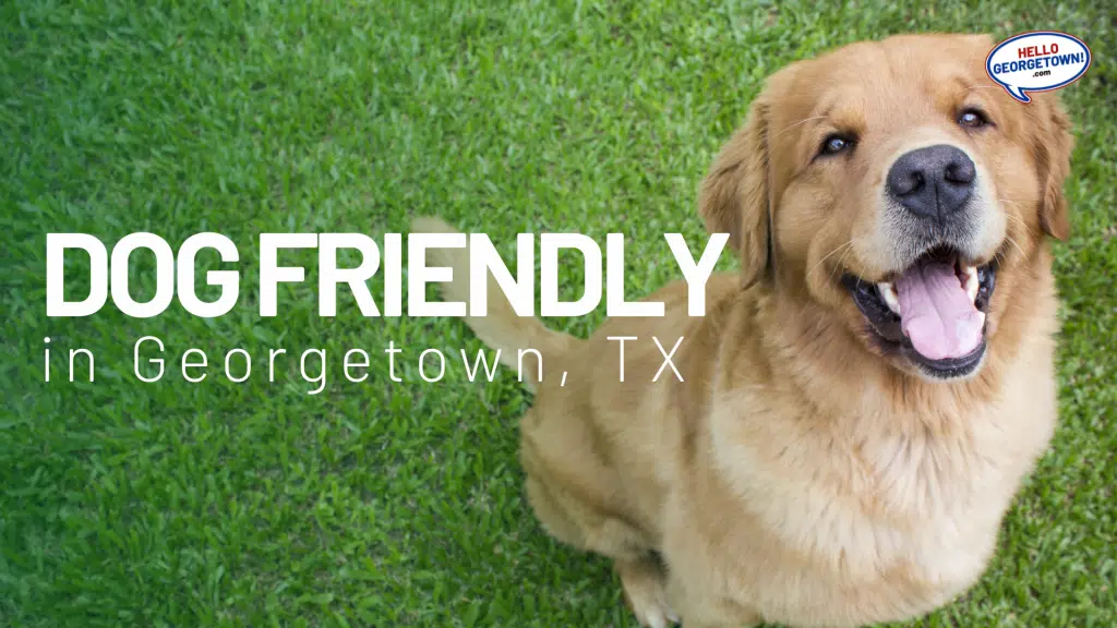 Dog Friendly Georgetown Texas