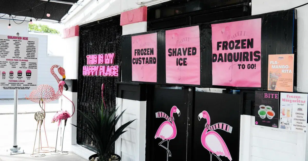 Frozen Flamingo Celebrates 1st Anniversary in TX! Hello