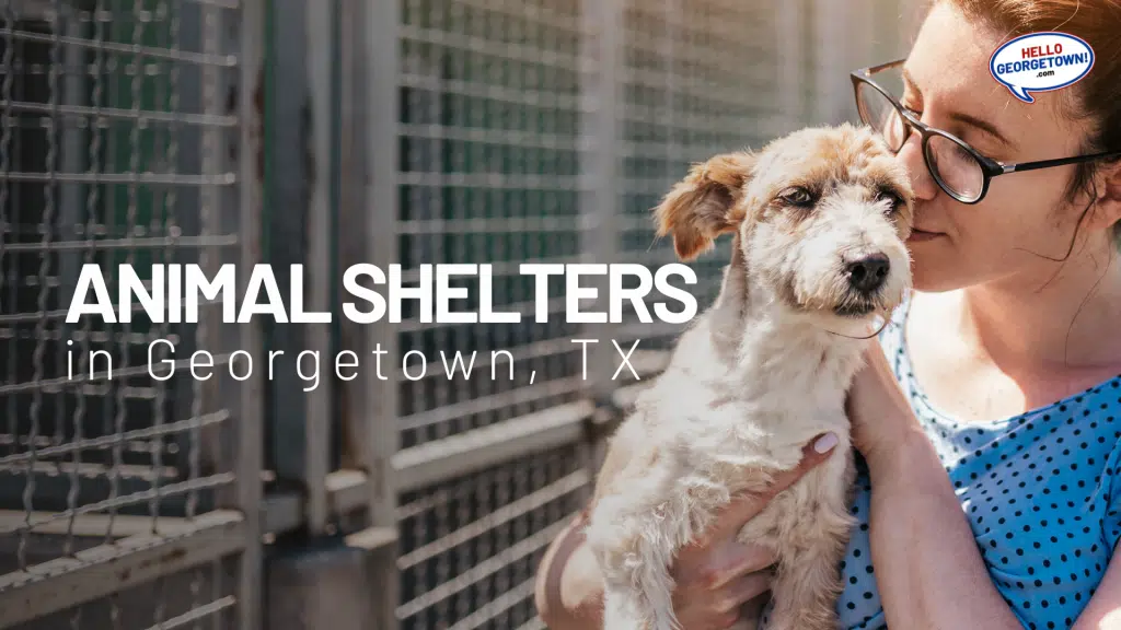 ANIMAL SHELTERS GEORGETOWN TX