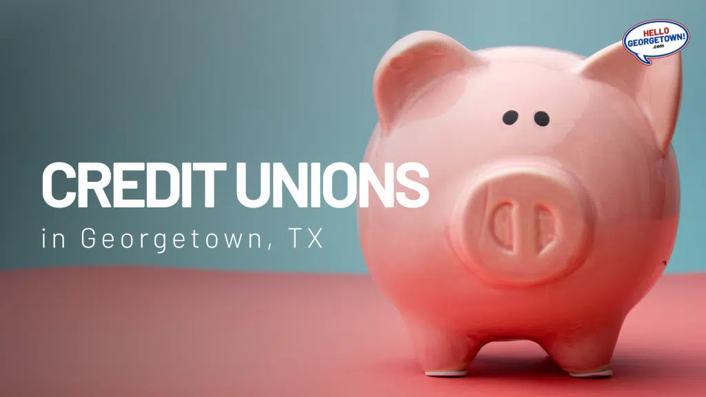 CREDIT UNIONS GEORGETOWN TX